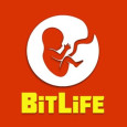 BitLife img