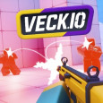 Veck IO img